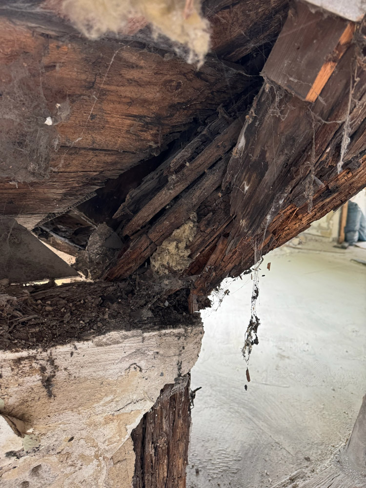 Eine Nahaufnahme eines beschädigten Holzbalkens mit Fäulnis und freiliegendem, gesplittertem Holz. An dem Balken hängen Spinnweben, und der umgebende Beton und der Putz zeigen Anzeichen von Abnutzung und Verfall.