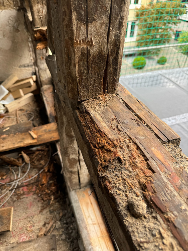 Nahaufnahme eines verfallenden hölzernen Fensterrahmens mit sichtbarer Fäulnis und Beschädigung; das Holz ist rissig und bröckelt, und einige Trümmer liegen verstreut herum. Im Hintergrund ist der Blick auf eine Straße und Gebäude zu sehen.